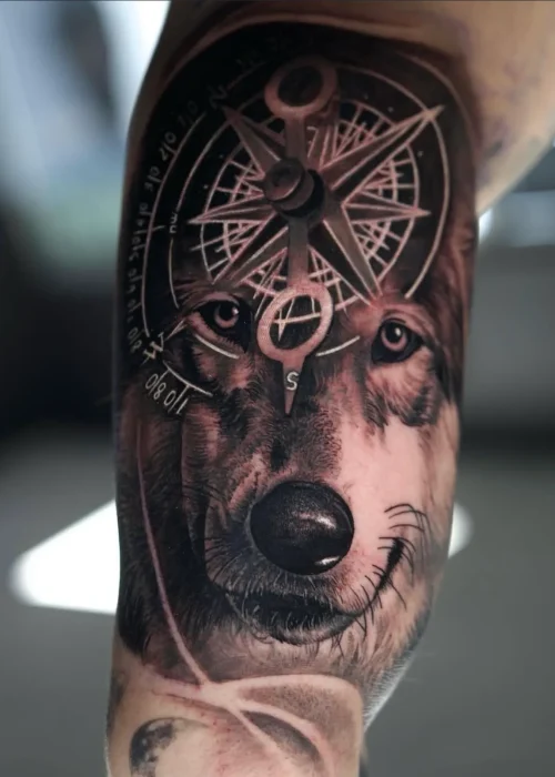 42F0C377-1528-4812-A039-80BDC5A245DD